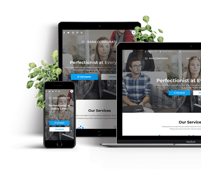 Software development